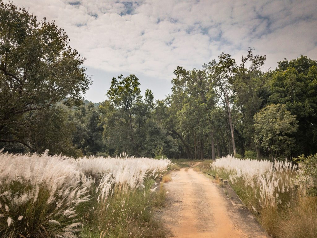 bandhavgarh national park