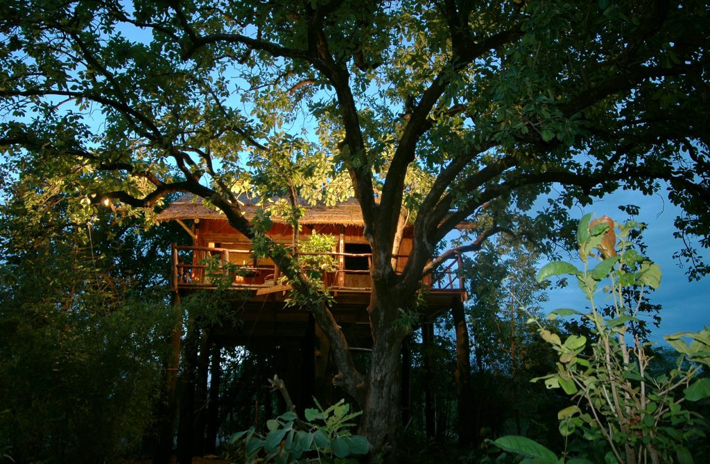 Tree House Hideaway