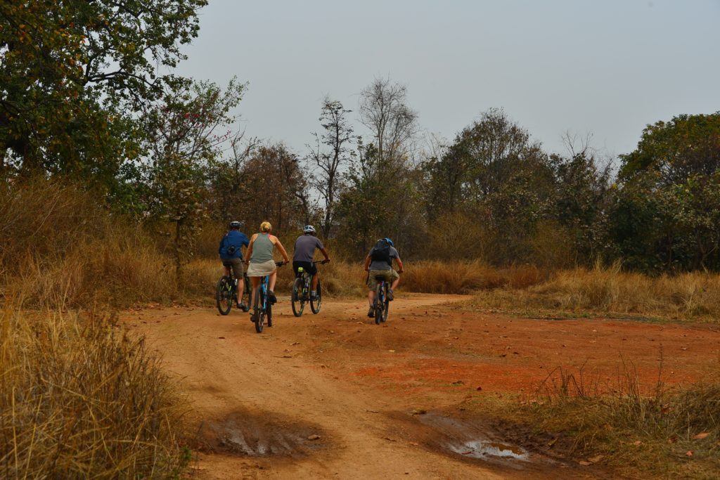 7 Top Things To Do In Pench | Activities In Pench Tiger Reserve