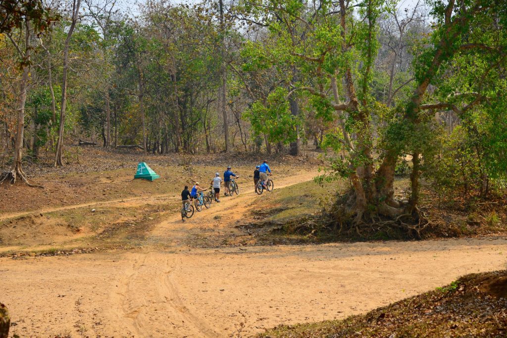 Cycling Excursion