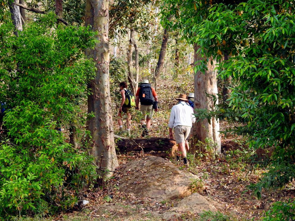 khatia trail by the forest department