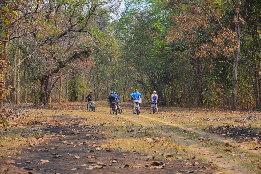 cycling in Bandhavgarh