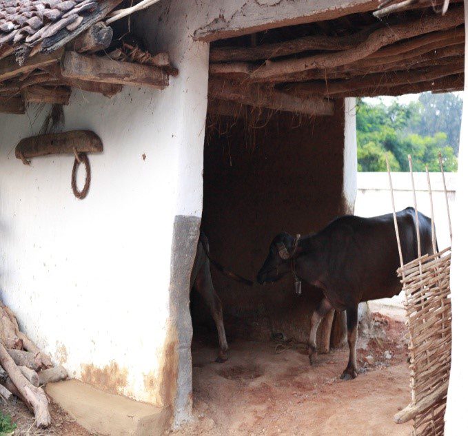 Gond Tribal Houses in Kanha