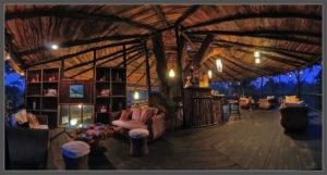 tree house hideaway in bandhavgarh