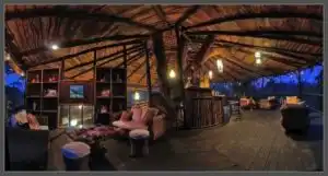 tree house hideaway in bandhavgarh
