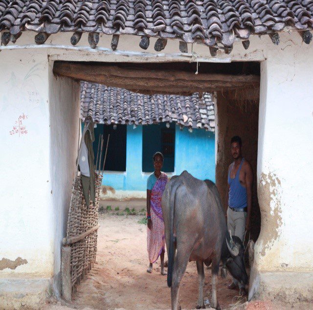 Gond Tribal Houses in Kanha