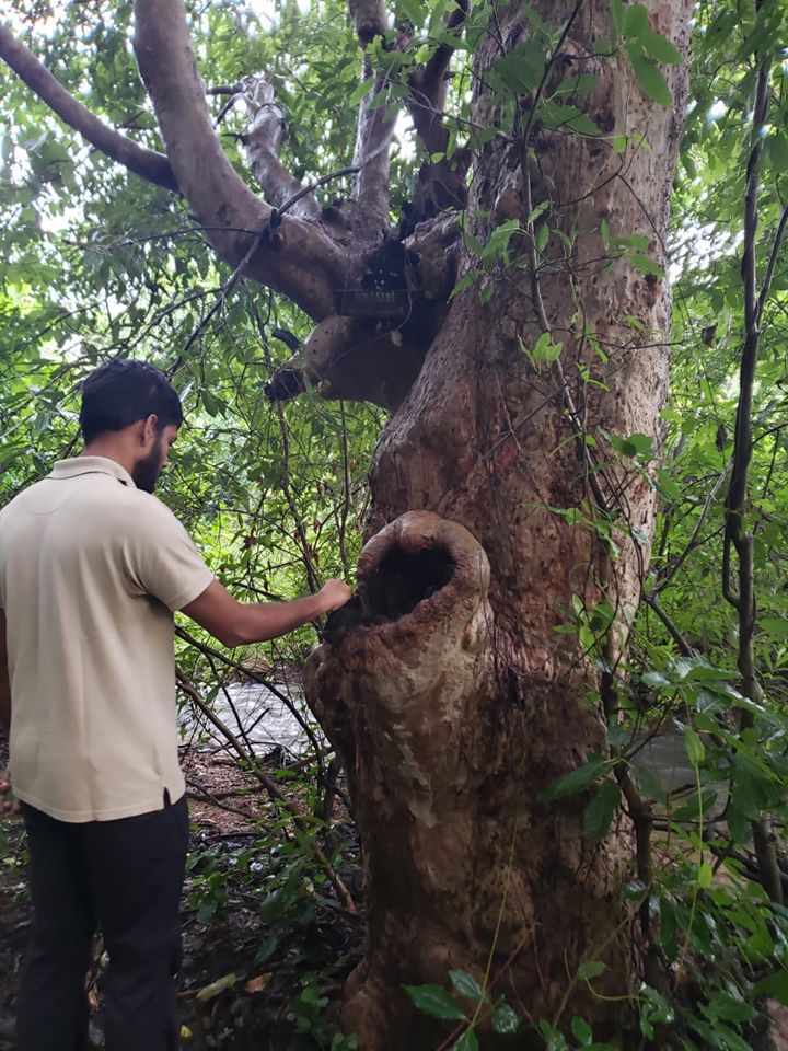 Pugdundee-safaris-in-forest-training