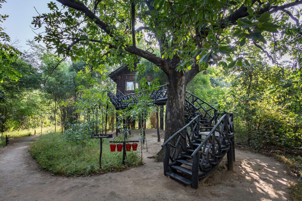 treehouse resort in bandhavgarh