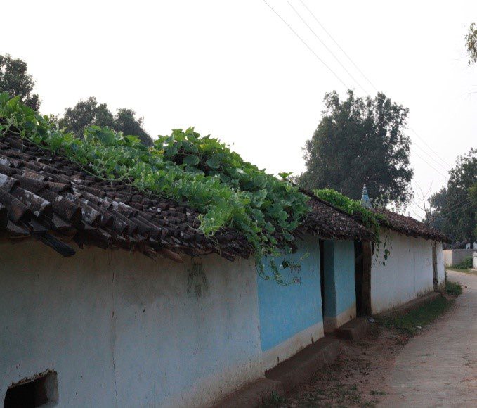 Gond Tribal Houses in Kanha