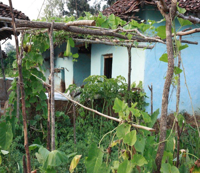 Gond Tribal Houses in Kanha