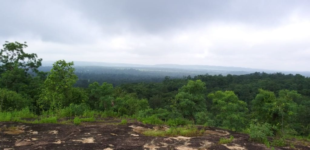 kanha national park