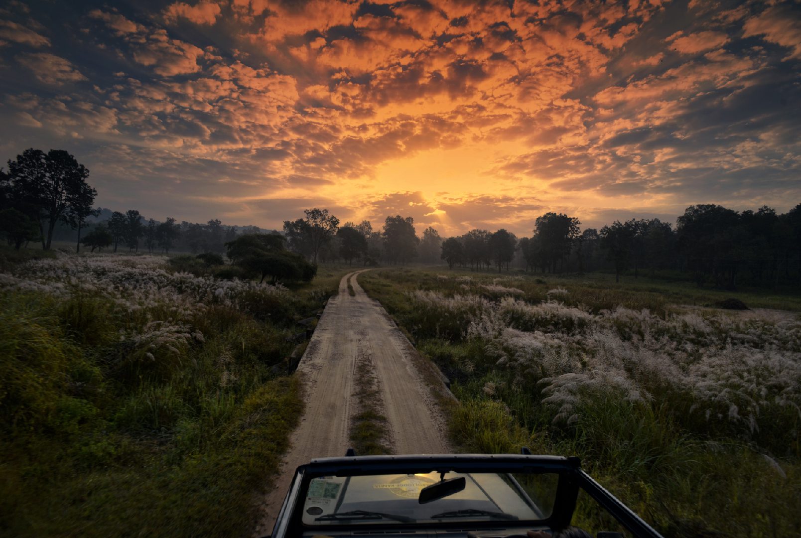 night safari kanha national park