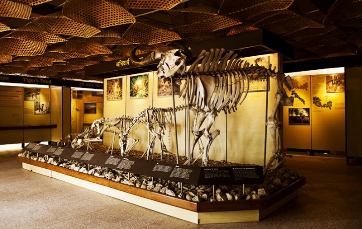 kanha museum