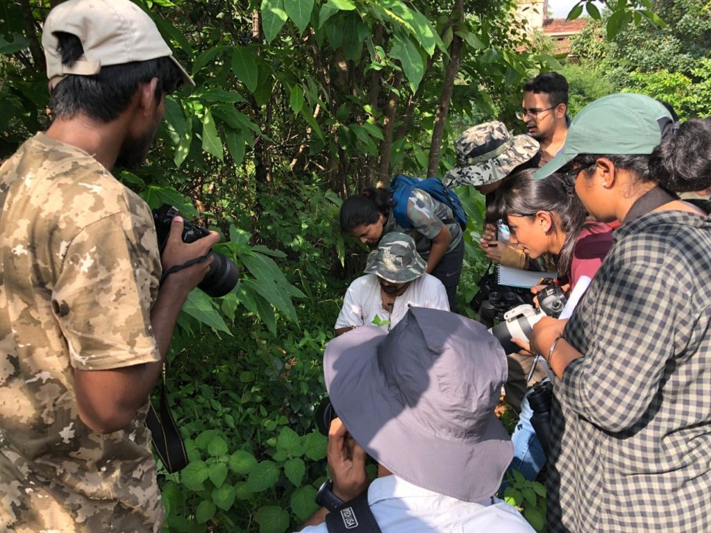 pugdundee-safaris-nature-study-in-field