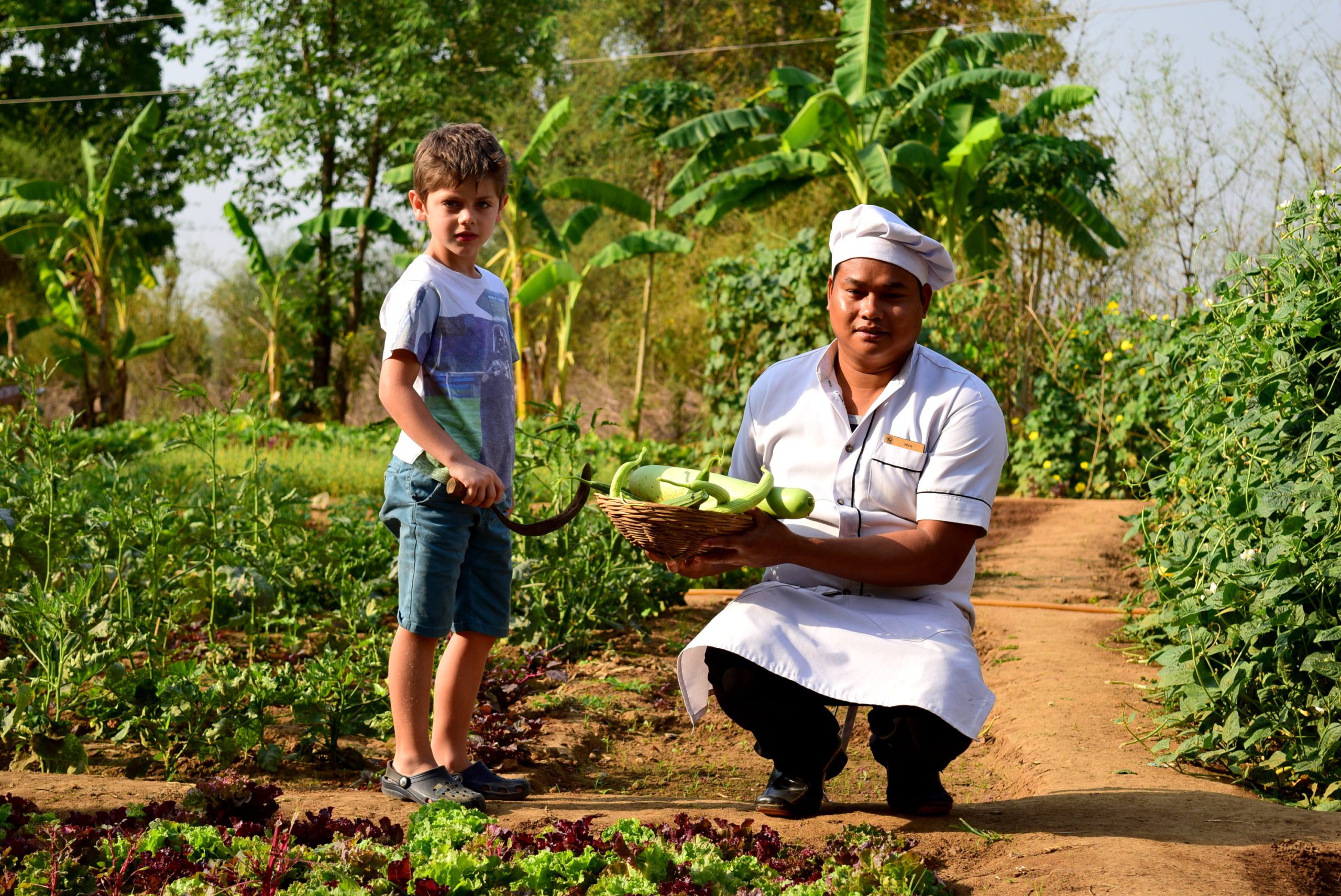 pugdundee-safaris-nature-why-children-must-spend-time-in-nature-harvest