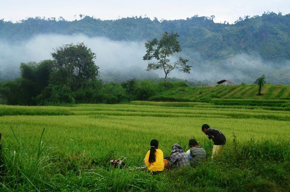 Pugdundee-safaris-CHILDREN-IN-NATURE-5-Reasons-Why-Children-Must-Spend-Time-in-Nature