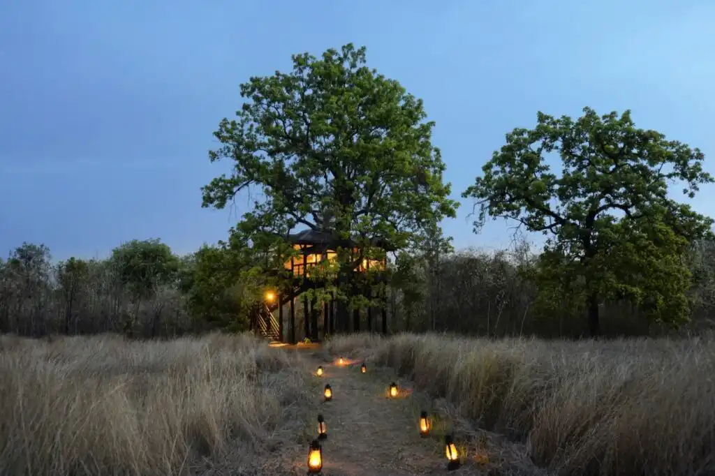 Tree House
