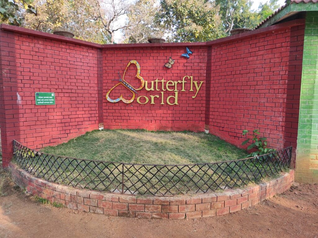 Butterfly Garden in Tadoba