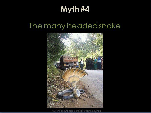 The many headed snake