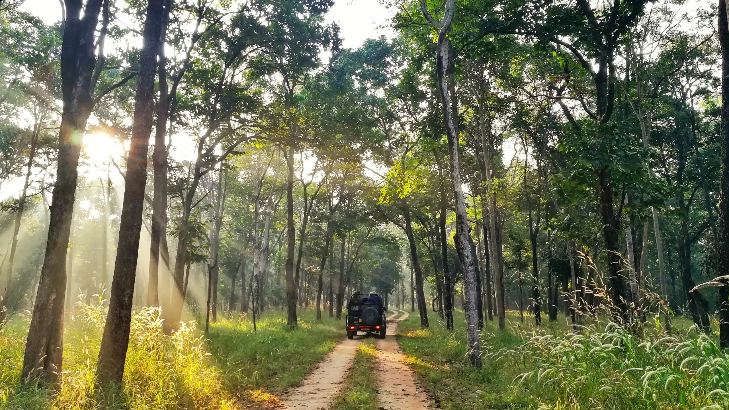 wildlife safari tours in india