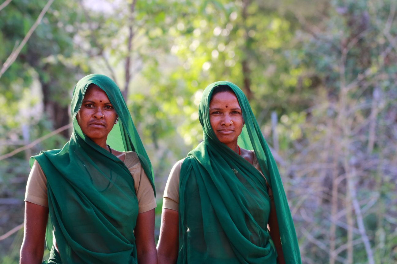 Organic Farm In Bandhavgarh