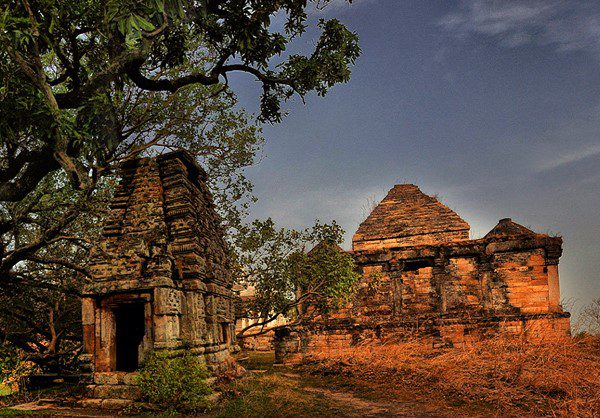 Temple Tiger Trails