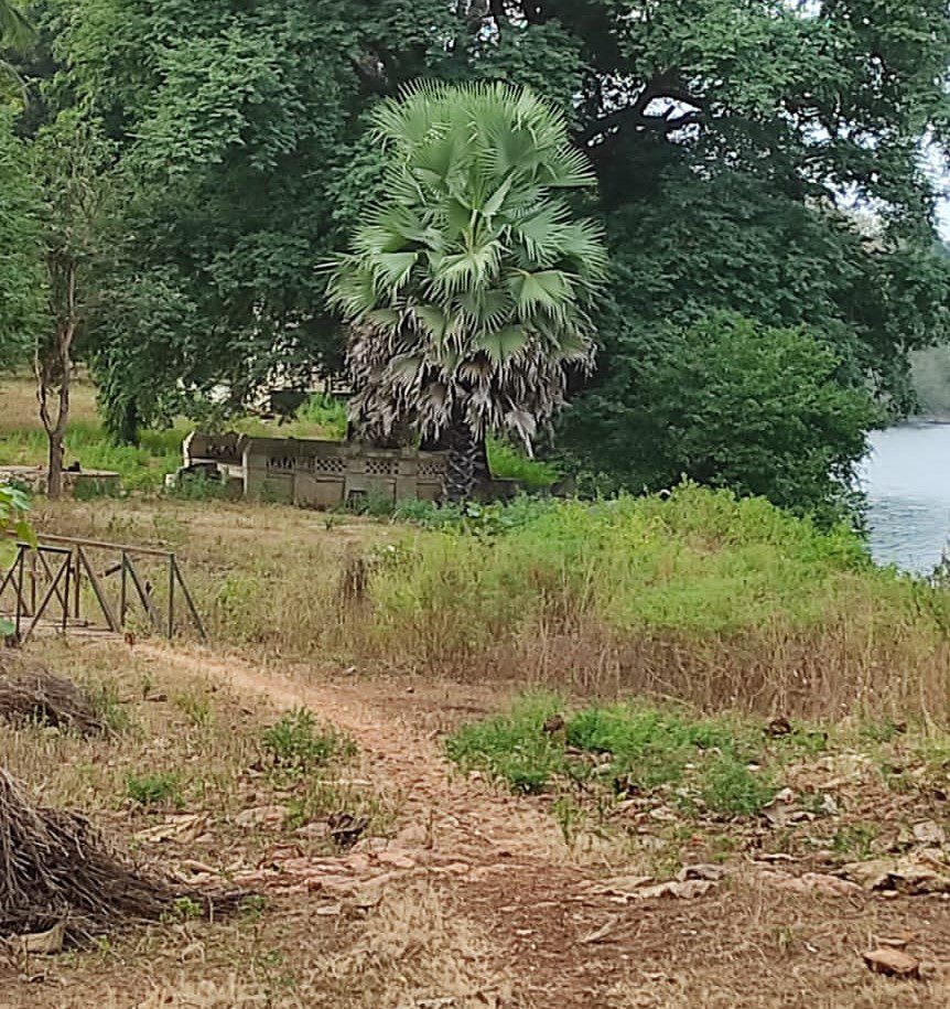 Taru shrine in Tadoba National Park