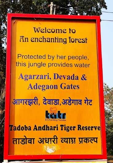 tadoba andhari tiger reserve