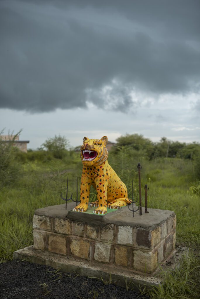 Tiger worship in India