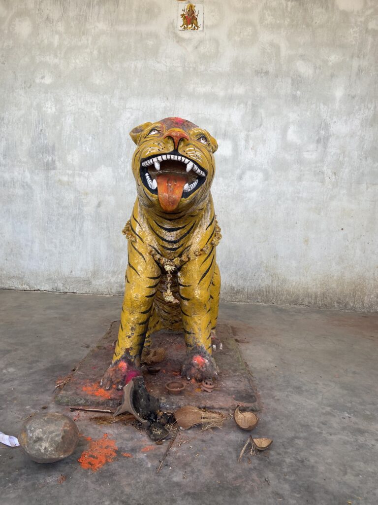 tiger gods across India