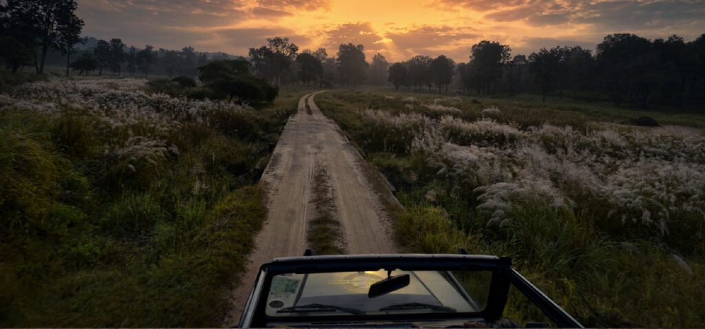 night jeep safari