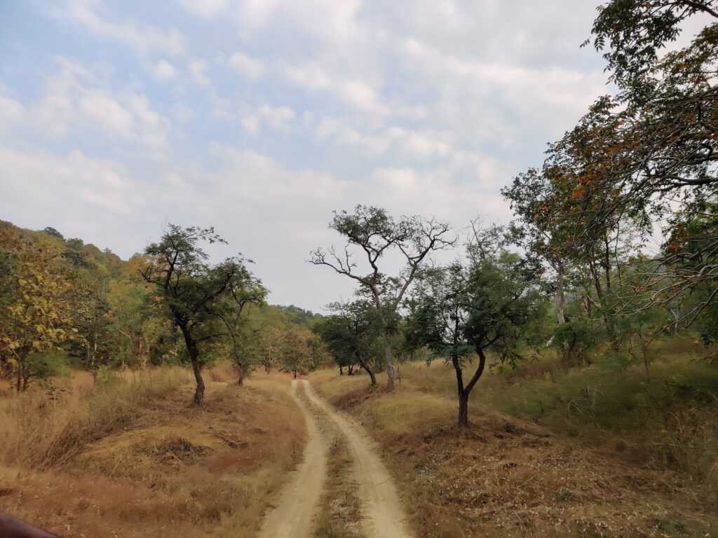 Landscape of Tipeshwar