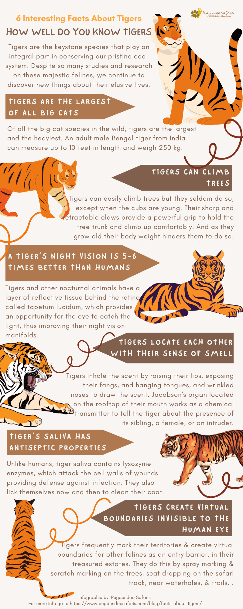 11 Interesting Facts About Tigers | Facts About Tigers