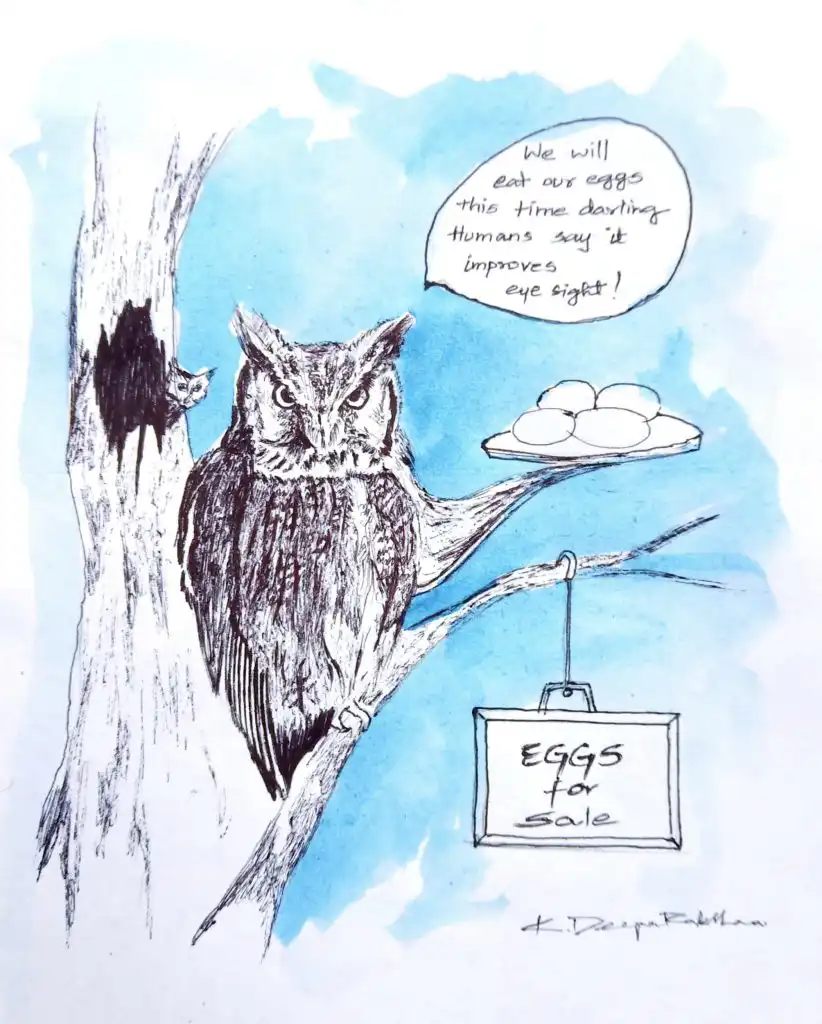 Eating Owl eggs and eyes impart better eyesight
