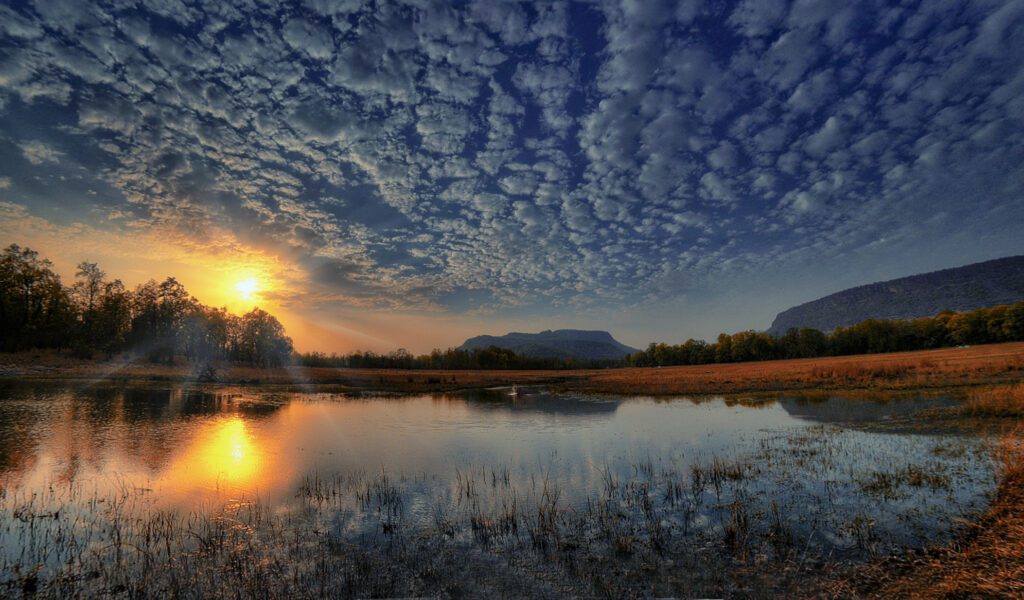 Bandhavgarh National Park