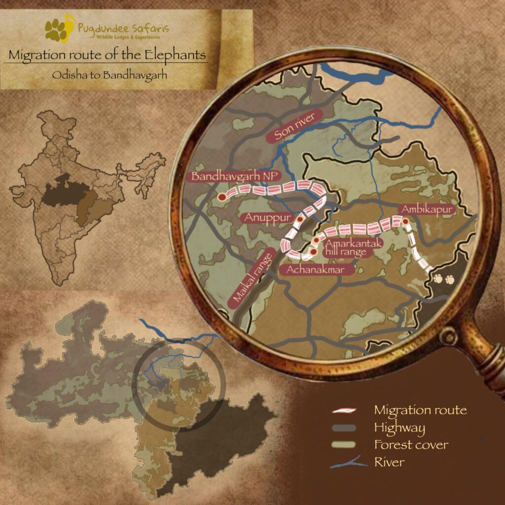 Migration route of the Elephants