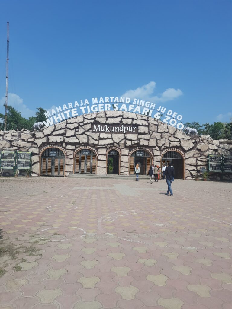 White tiger safari and zoo in Mukundpur
