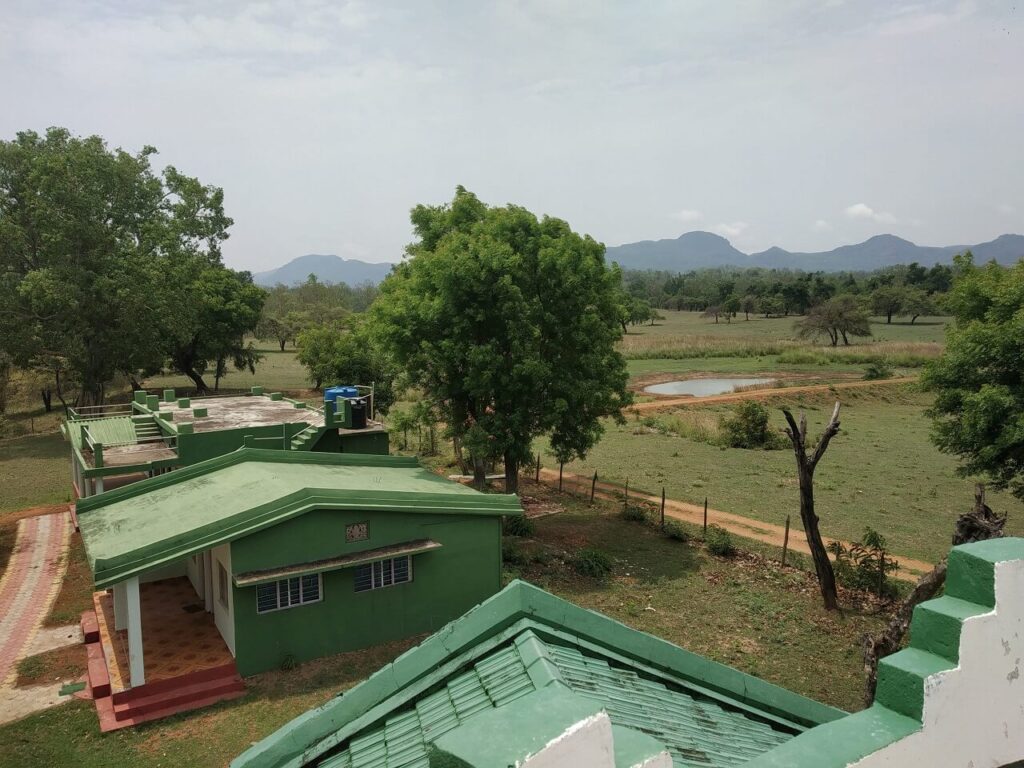 boat safari in madhai