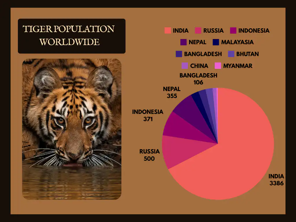 Tiger population worldwide