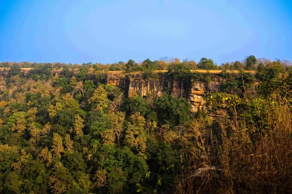 Best Gates in Panna National Park