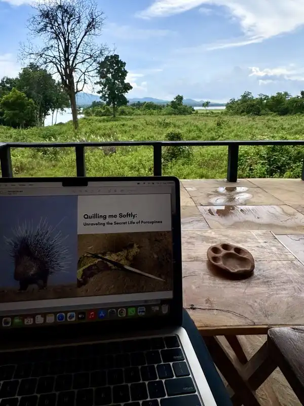 Assignments with a View (Mammals)