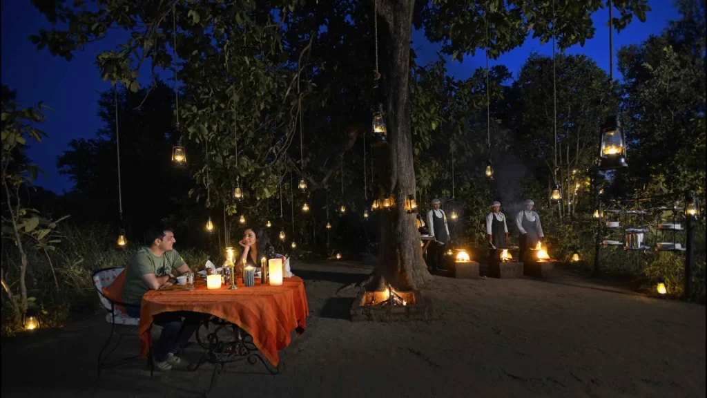 This section discusses bush dinners, nature walks, birdwatching and immersive activities. The bush dinner image directly reinforces that.