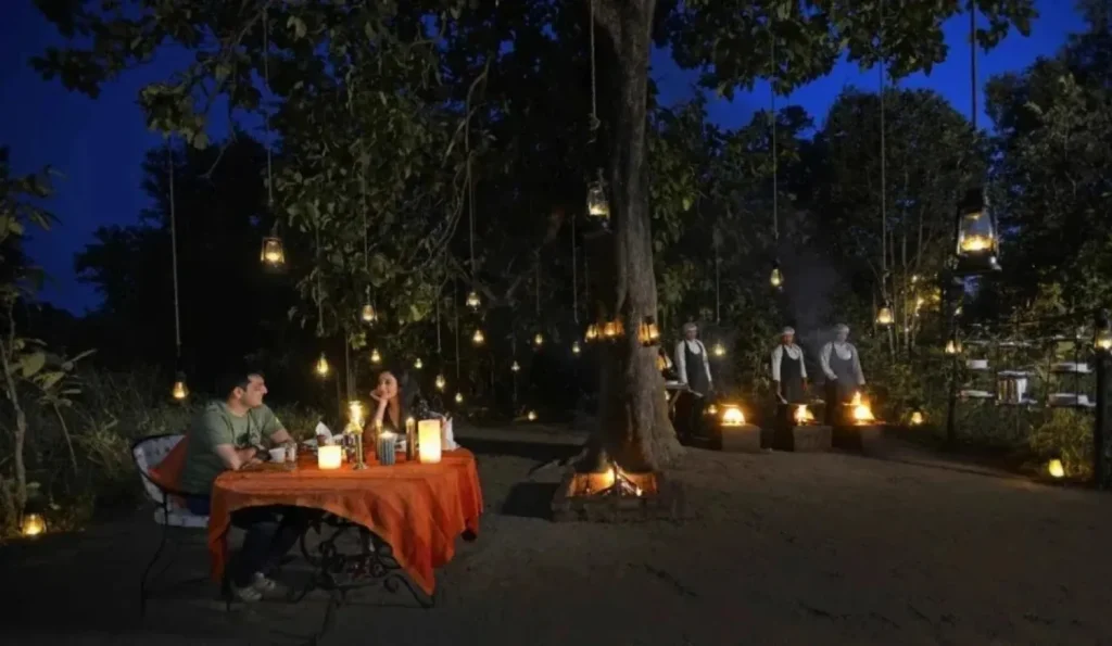 forest dinning setup