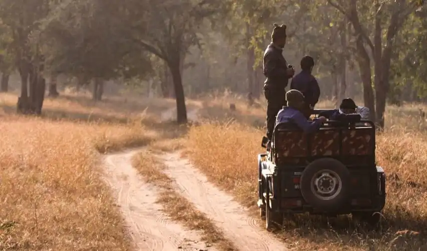 Churna Safari in Satpura