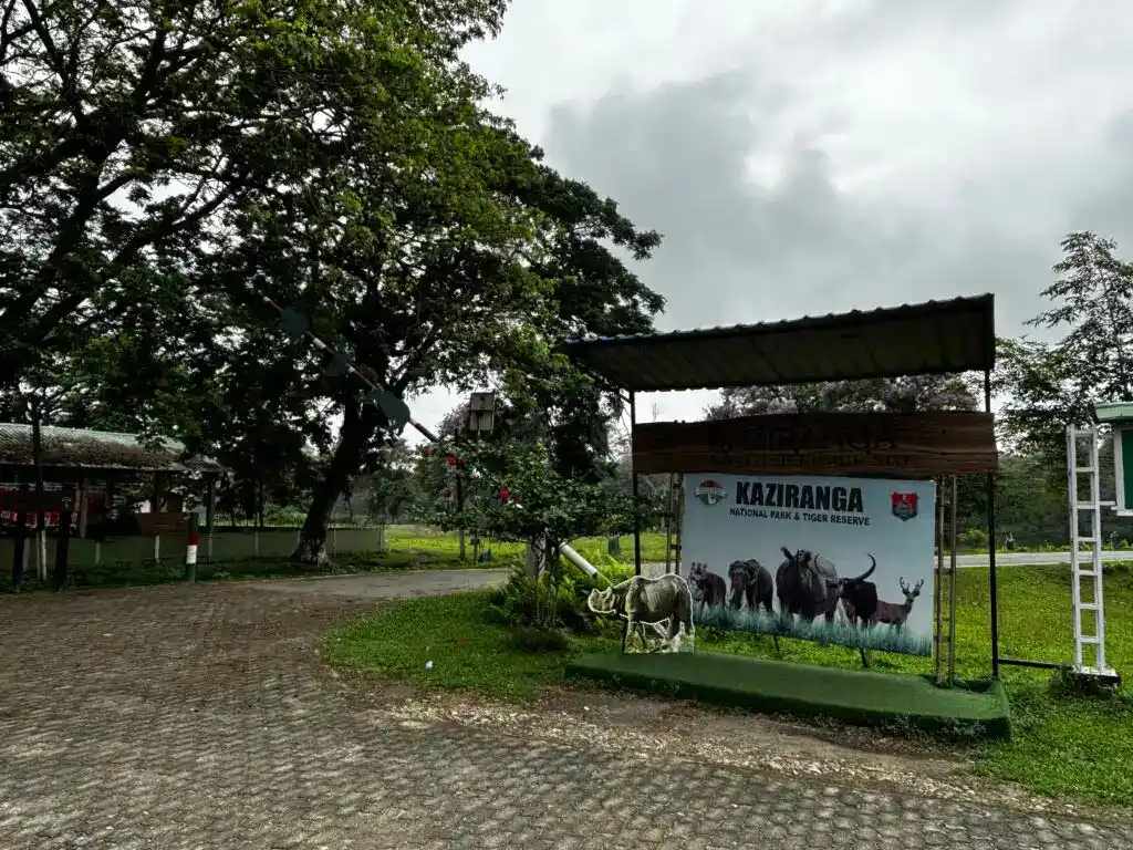 kaziranga tiger reserve