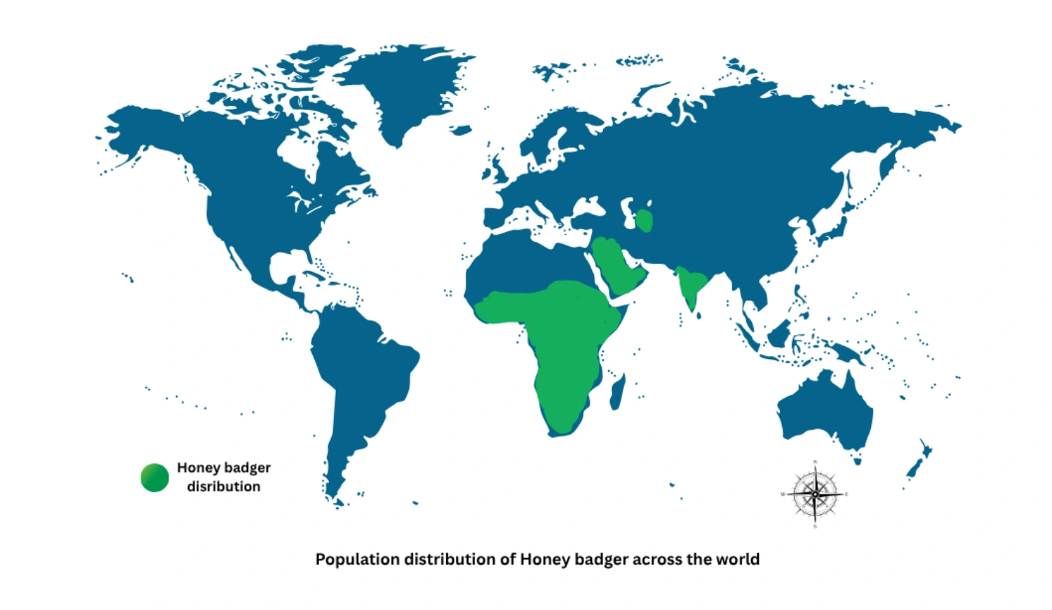 A world map illustrating the global population distribution of the honey badger across Africa, the Middle East, and the Indian subcontinent.