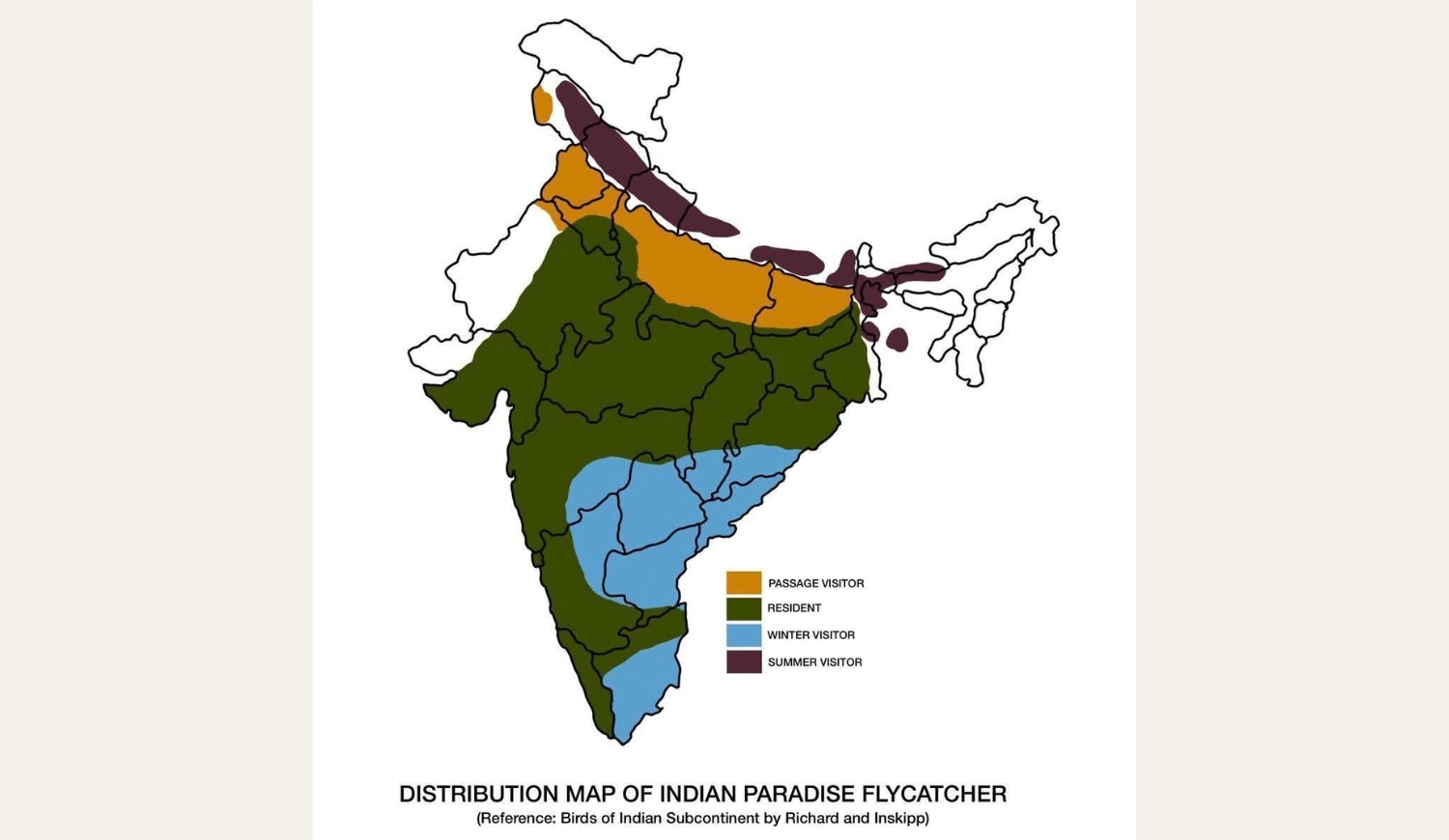 A map of India showing the distribution of the Indian Paradise Flycatcher, color-coded for passage visitors, residents, winter visitors, and summer visitors.