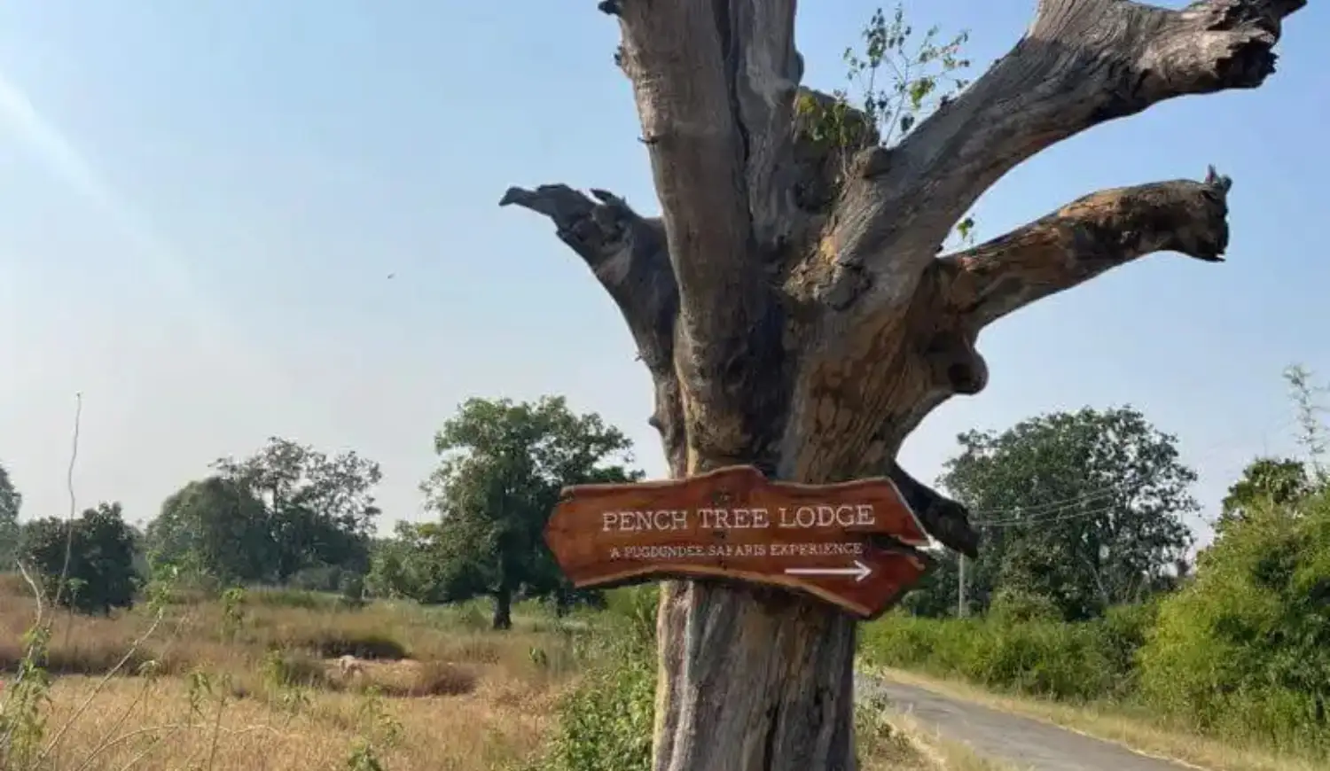 Pench tree lodge direction