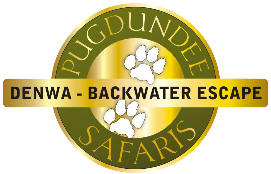 Denwabackwaterescape