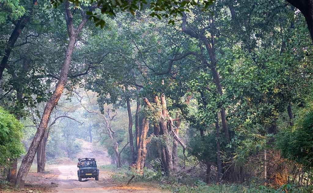 bandhavgarh-national-park